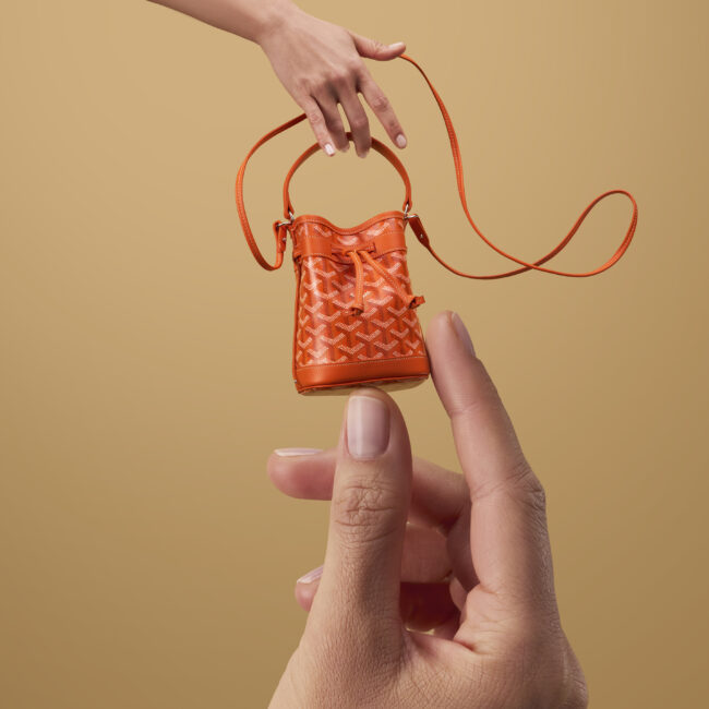 Goyard petit flot mini